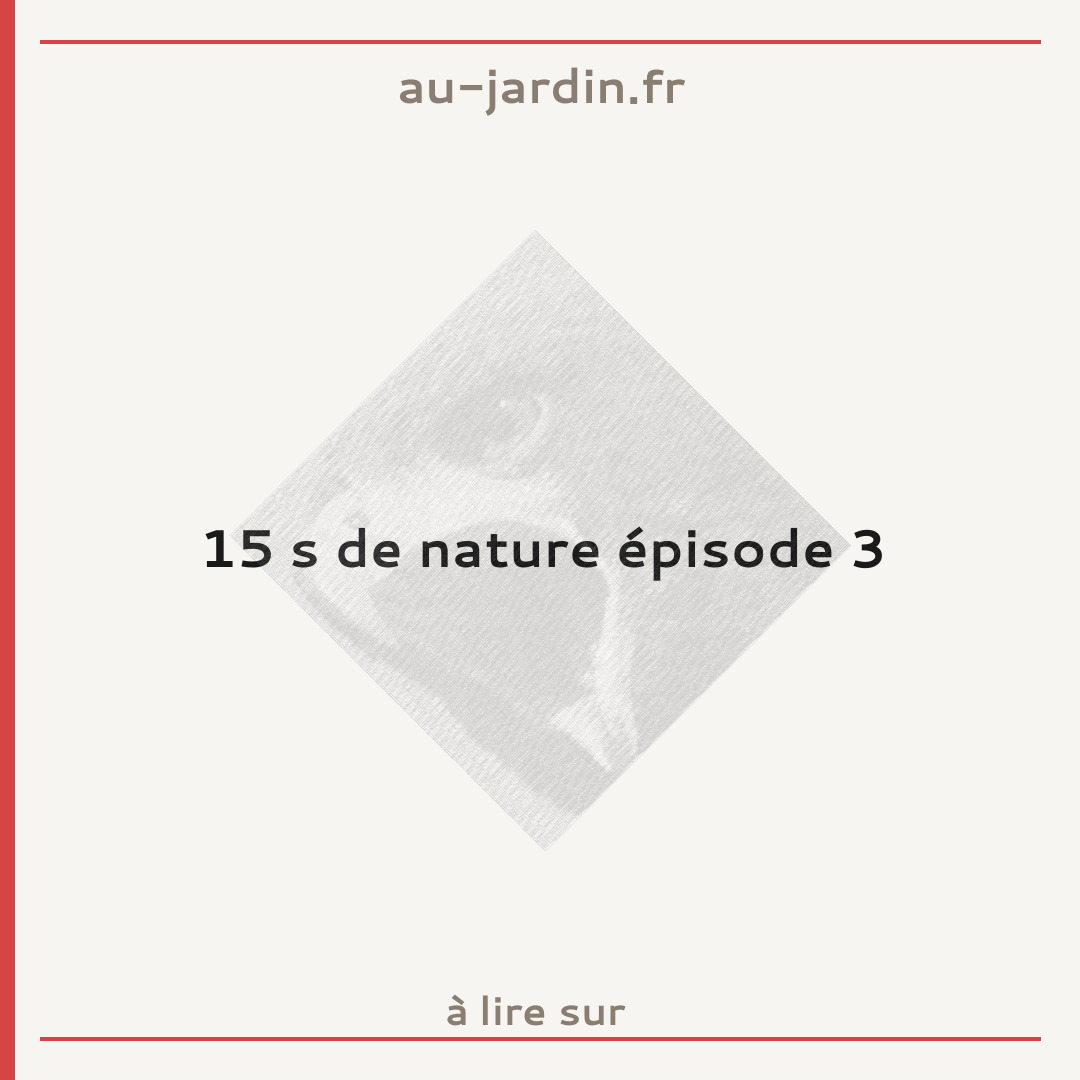 15 s de nature épisode 3