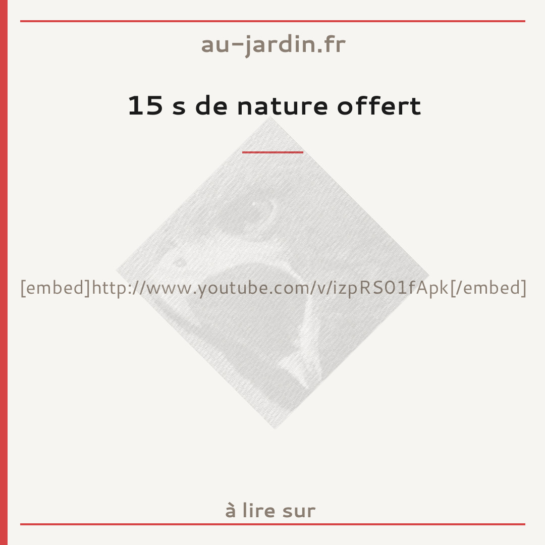 15 s de nature offert