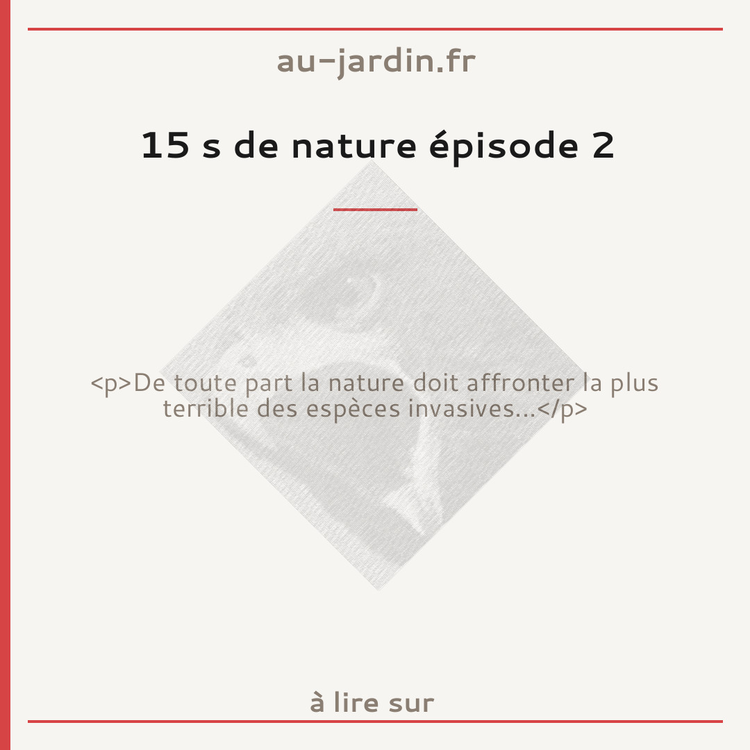 15 s de nature épisode 2