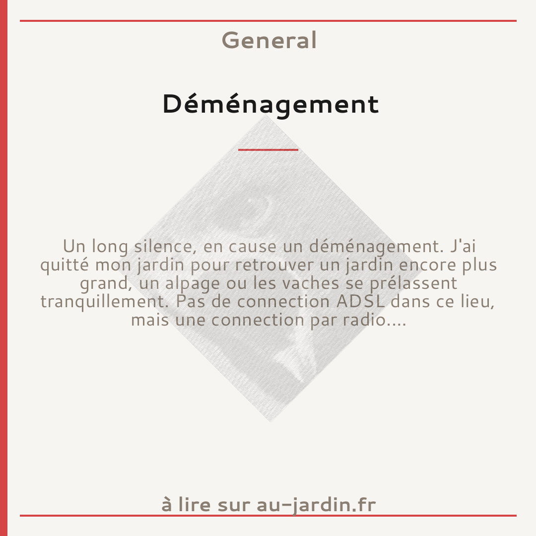 Déménagement