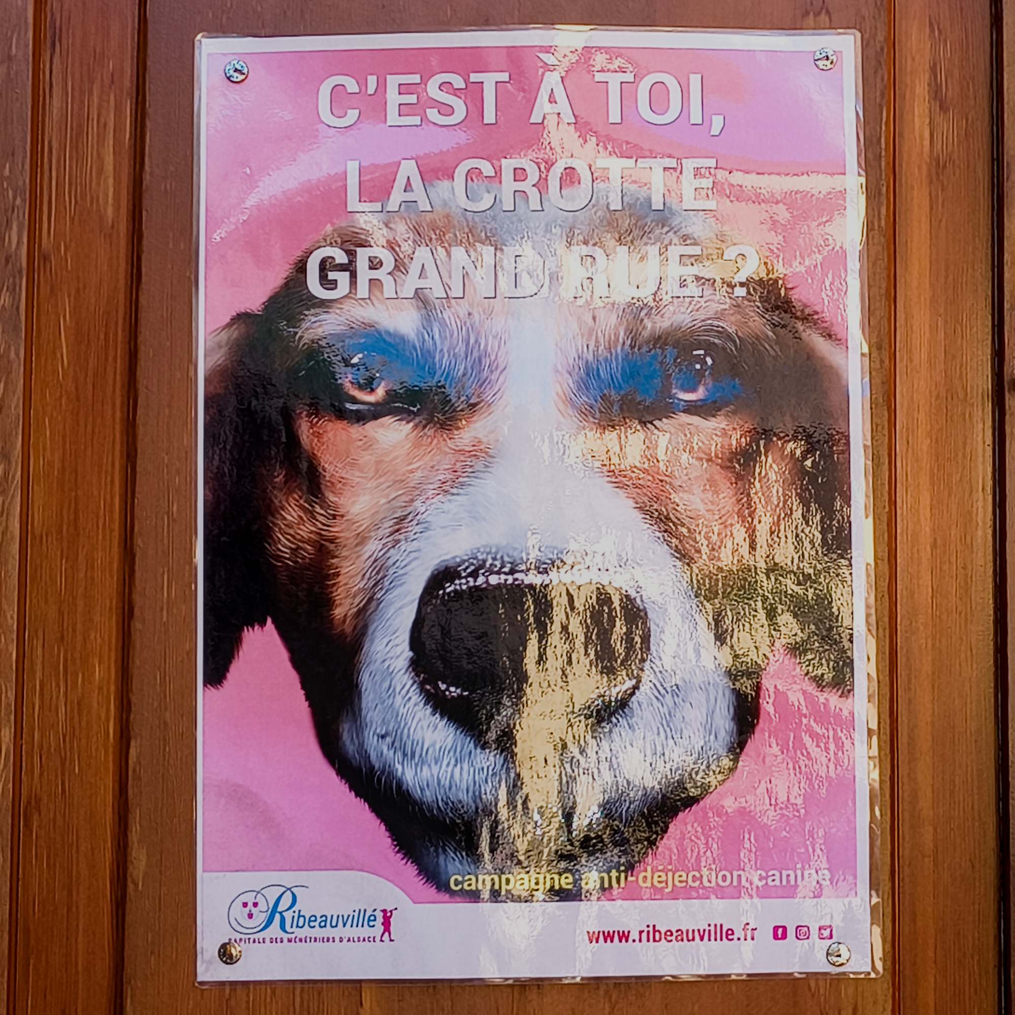 Tête d'affiche