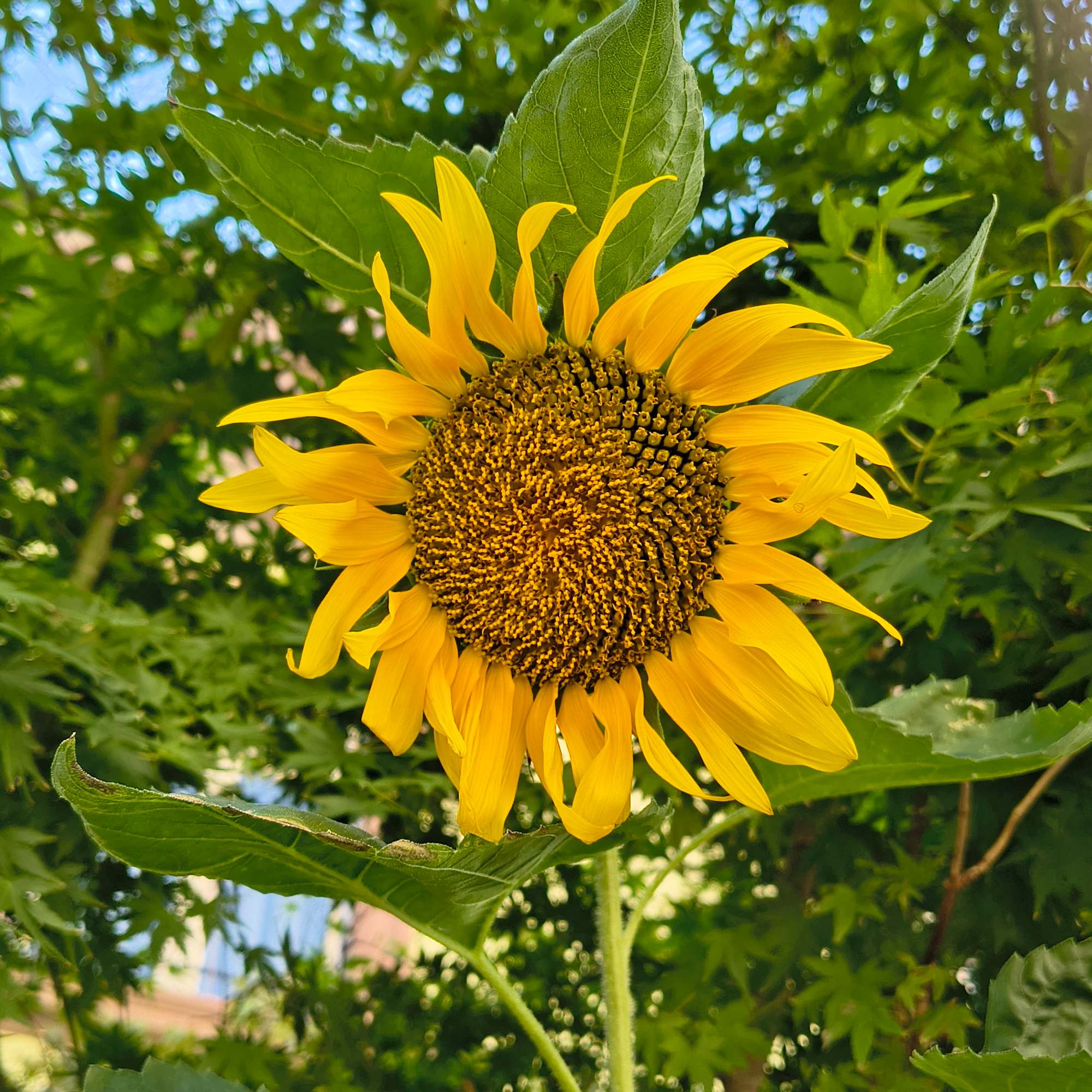 Blog Image