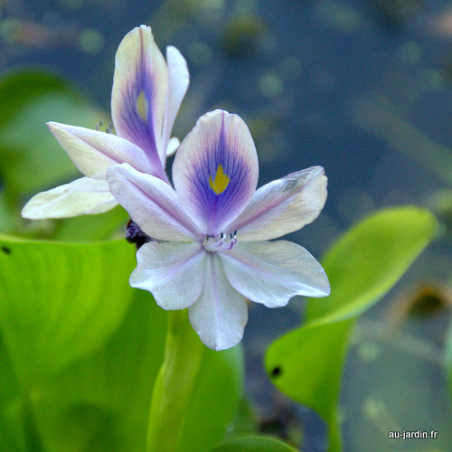 Featured blog image
