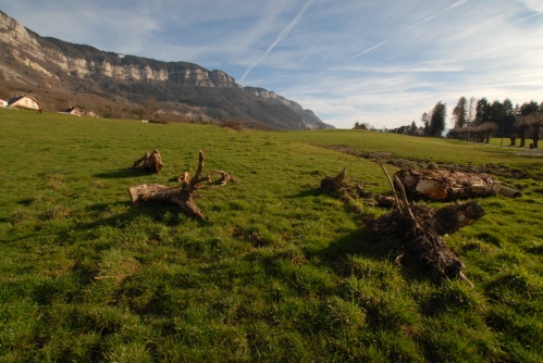 Après-Midi à Pugny Chatenod, Au pied des Bauges