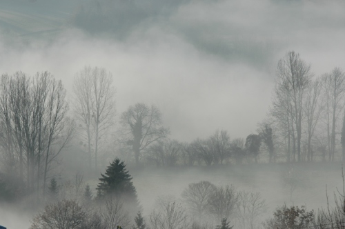 La chartreuse dans les nuages