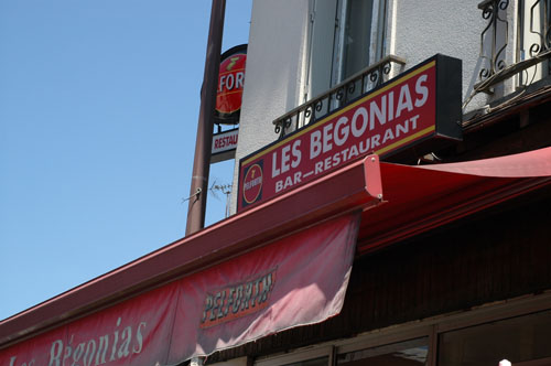 Les fleurs qui poussent à Paris