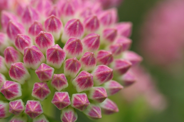 Featured blog image
