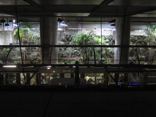 Jardin 6 pieds sous terre