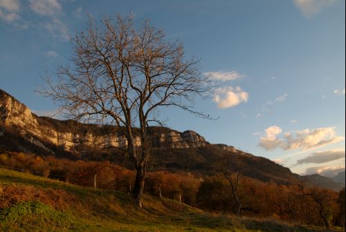 Derniers rayons sur les Bauges