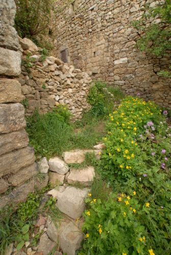 En Ardèche, petit mur de pierre remonté par mes soins