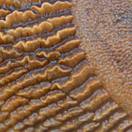 Mer de sable ou peau de limace ?