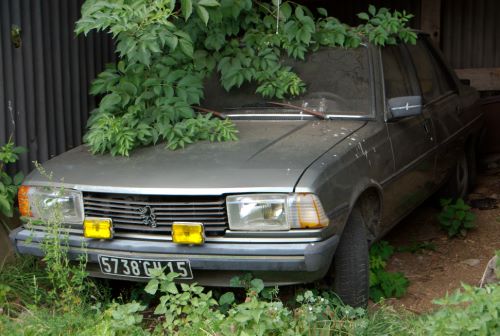 La première voiture 100% écologique est auvergnate