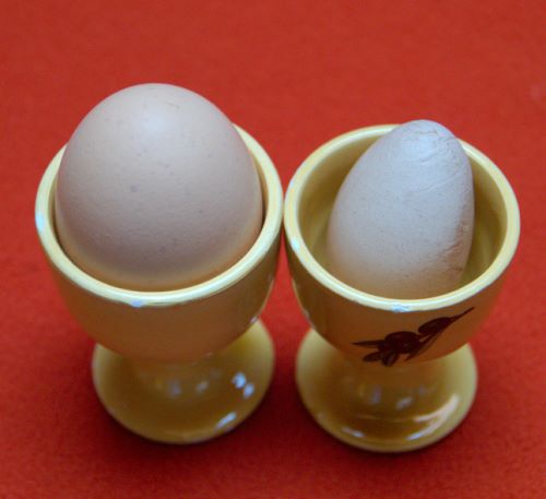 œufs de poule non certifié ISO9000