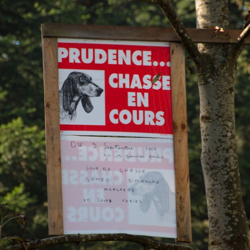 Ballade détente en montagne.