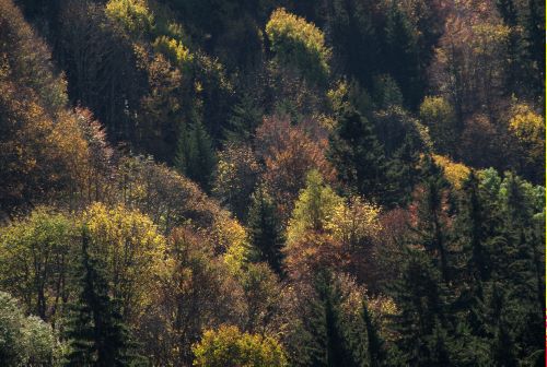 L'automne au pied des Bauges
