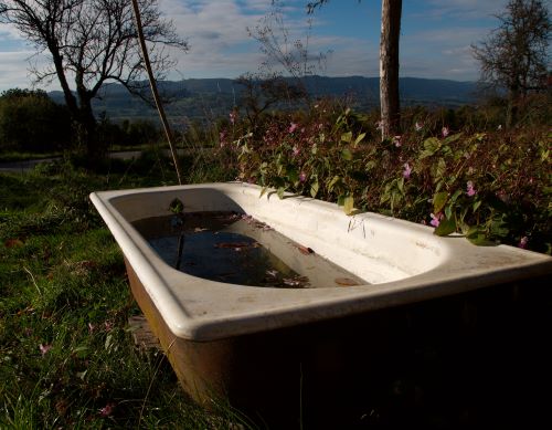 Salle de bain avec vue