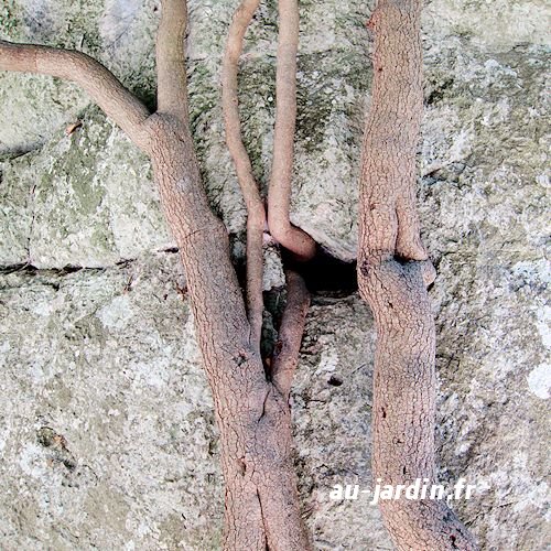Featured blog image