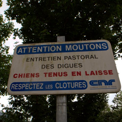 Mouton méchant