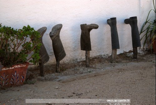 Fleurs en caoutchouc