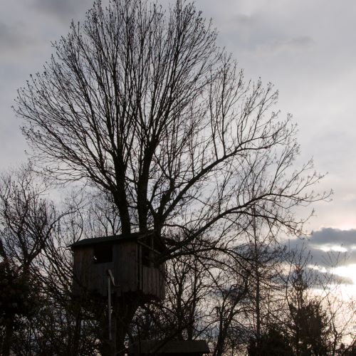Cabane à arbre