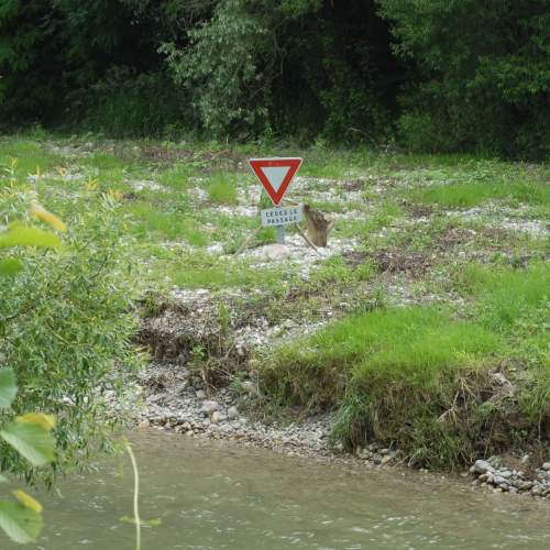 Priorité à la nature