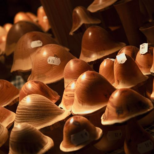 Champignons des bois à Chambéry