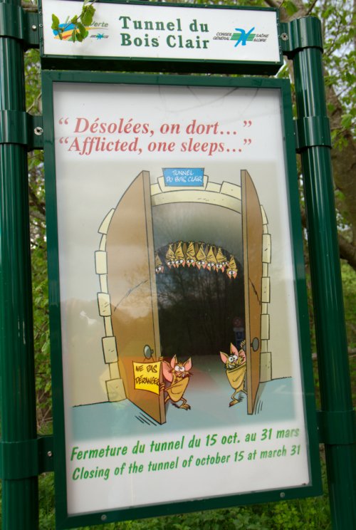 Hôtel à chauve-souris