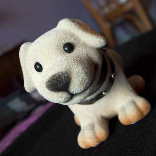 Chien en vadrouille