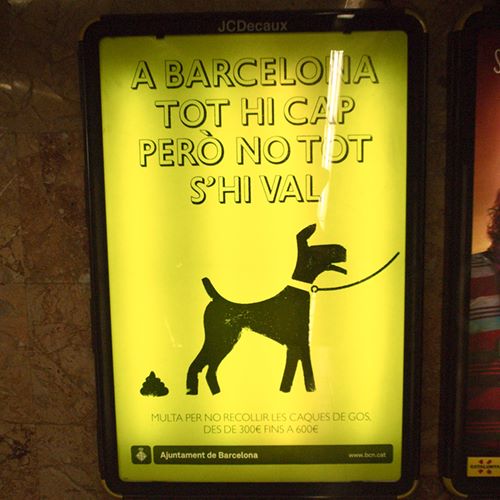La crotte de chien la plus chère du monde