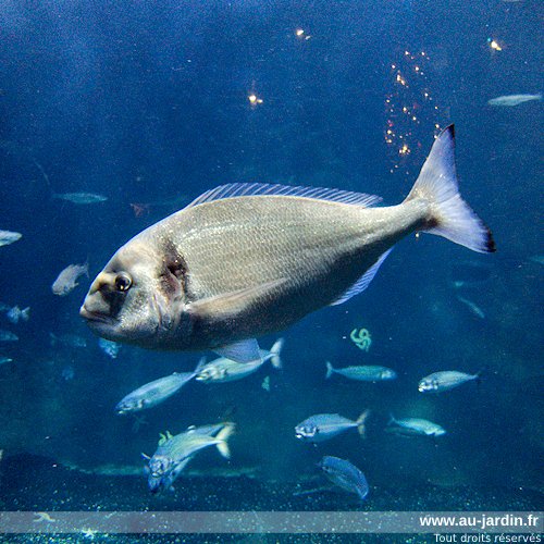 Featured blog image