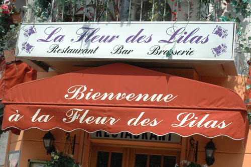 Fleur de lilas