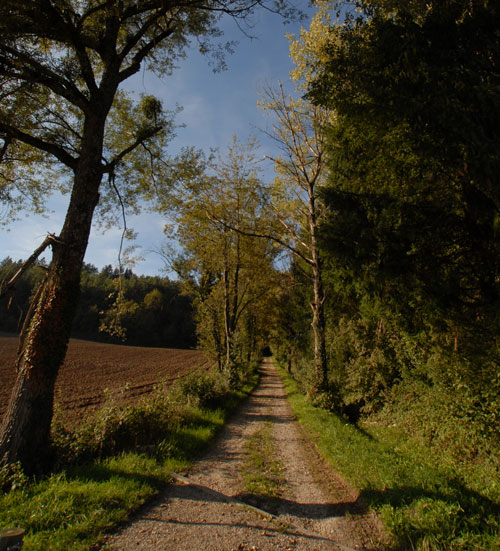 Au bout du chemin