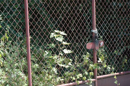 Paris ,les jardins emprisonnés