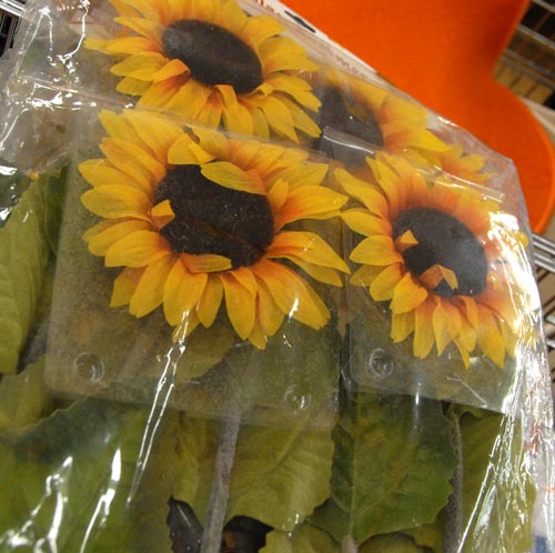 Fleurs d'Auchan