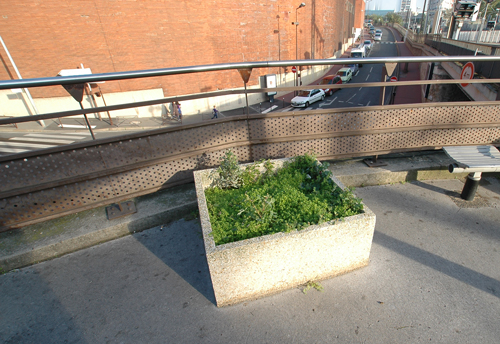 Petit jardin de Banlieue