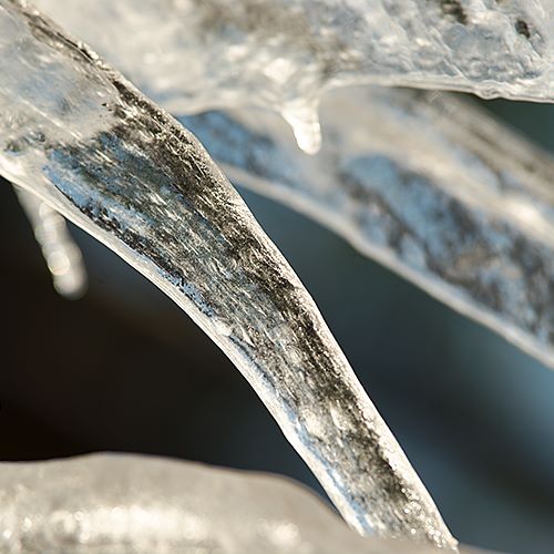 Hiver de glace