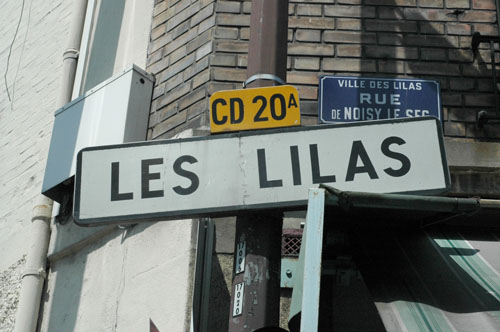 Lilas d'île de France