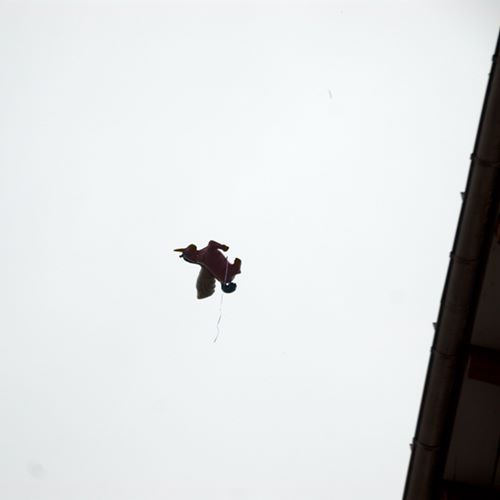 Licorne dans le ciel