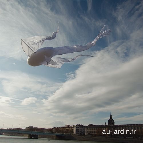 Poisson volant dans le ciel de Lyon
