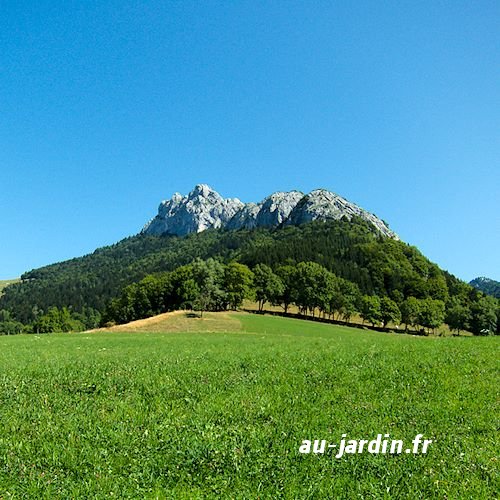 Une montagne des Bauges.