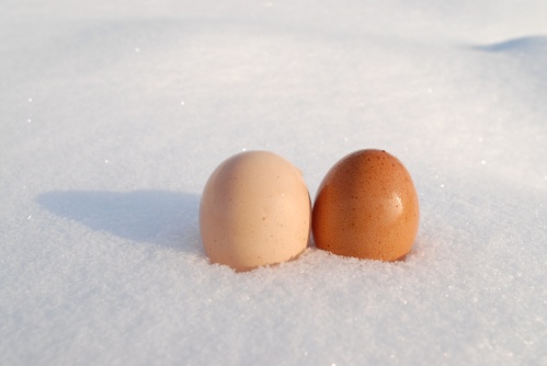 Oeufs à la neige