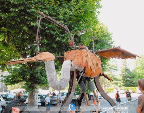 Drôle d'oiseau de Chalon sur Saône