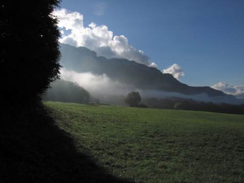 L'orée du bois au pied du Mont Revard