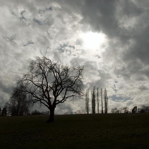 Jour de printemps sur Buisson Rond à Chambéry