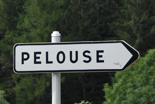 Belle pelouse