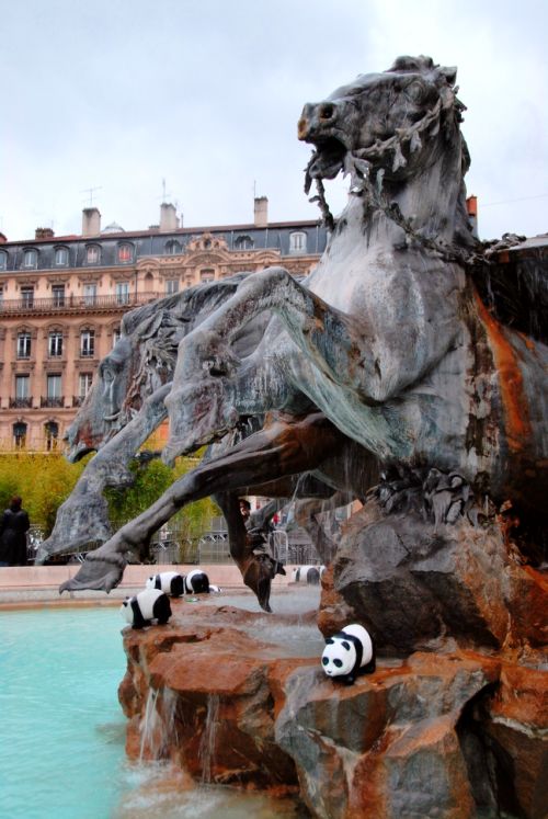 Pendas se baignant à Lyon