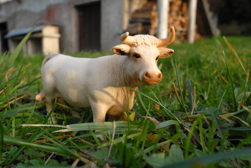 Un taureau dans le jardin de Jean-Noël
