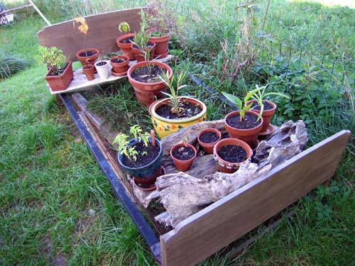 Chut !!! Plantes au repos