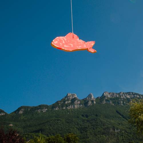 Poisson volant au dessus de la dent du Chat