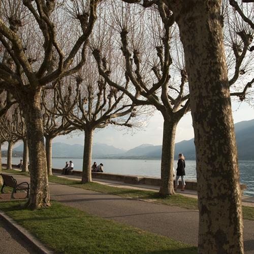 sur le port d'Aix les Bains